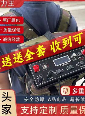199V新能源锂电池一体机大功率全套逆变升压轻便多功能动力蓄电瓶
