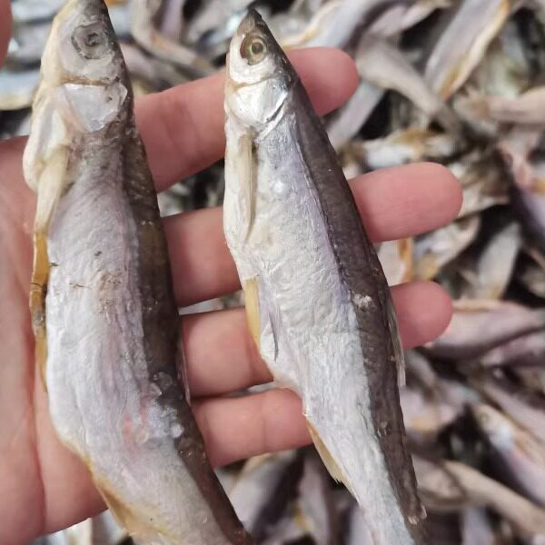东北淡水青鳞子鱼干河鱼干咸鱼干小河鱼鸭绿江鱼干干货青林子包邮