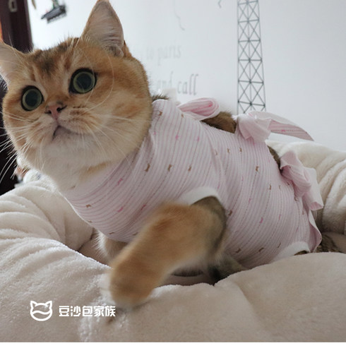 包邮可定做透气绝育断奶术后母猫