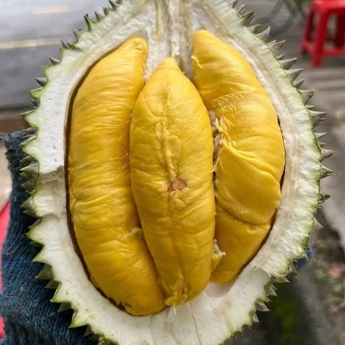 马来西亚D197猫山王 空运鲜果