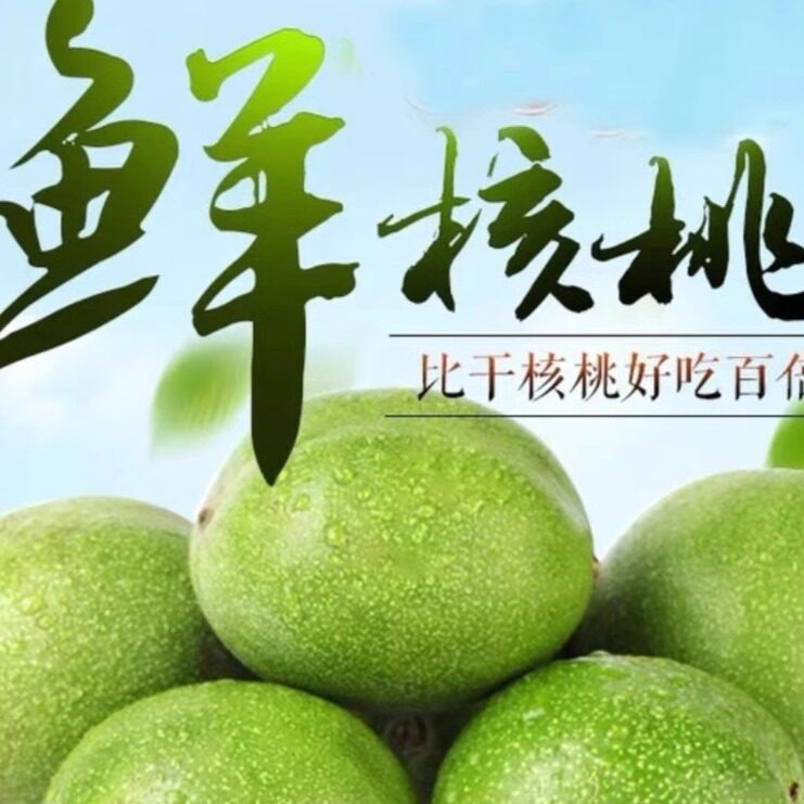青皮鲜核桃新疆核桃绿皮鲜核桃25年青皮嫩湿核桃孕妇儿童五斤现摘