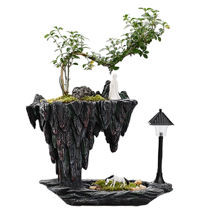 天空之城六月雪文竹悬浮绿植盆景栽办公室内玄关书桌面净化空气