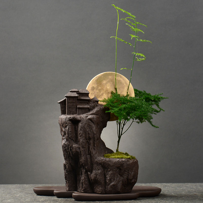 文竹盆景竹子花卉观叶室内小摆件