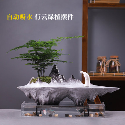 文竹盆景植物办公室内四季常青微景观绿植好养桌面摆件创意小盆栽