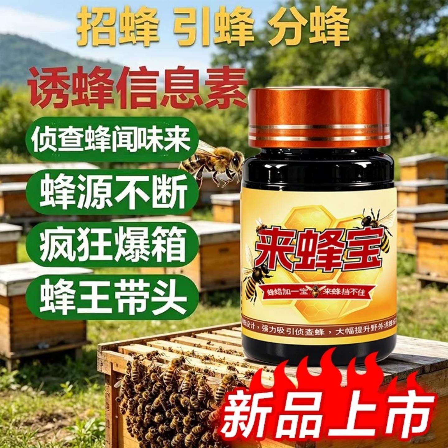 正版来蜂宝老巢野外引蜂招蜂侦查