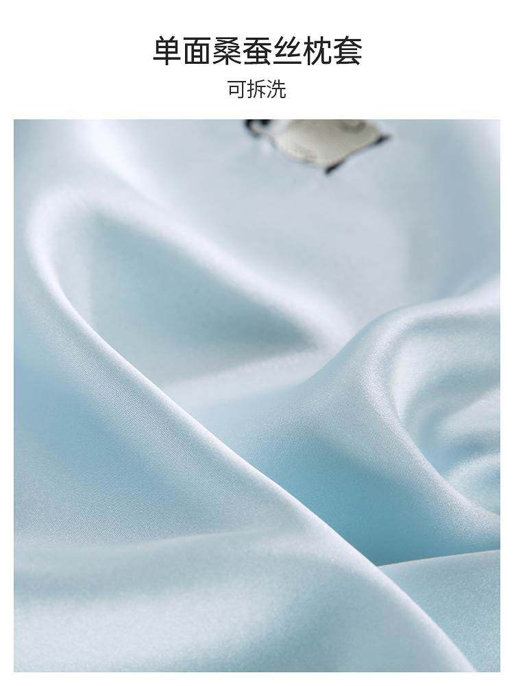 太湖雪儿童蚕丝枕头枕芯护颈A类标准真丝枕套单人小孩小枕头2-8岁