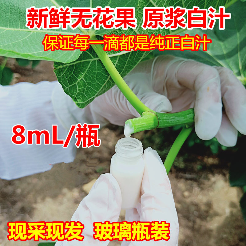 无花果汁液扁平药用白dian风尤瘊无花果新鲜白汁叶子汁水8ml包邮 水产肉类/新鲜蔬果/熟食 无花果 原图主图