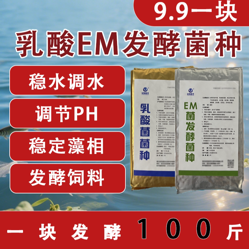 乳酸菌水产养殖专用调水乳酸菌原种em菌种虾池鱼塘降氨氮亚盐降PH图片