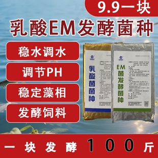 乳酸菌水产养殖专用调水乳酸菌原种em菌种虾池鱼塘降氨氮亚盐降PH