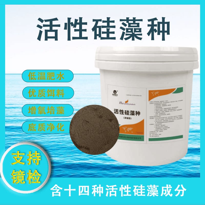 活性硅藻种水产养殖肥水培藻改底浓缩硅藻藻种养虾蟹鱼塘调水增氧