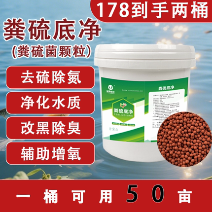 粪硫菌水产养殖改黑除臭硫细菌改底颗粒硫化氢氧化细菌生物底改王