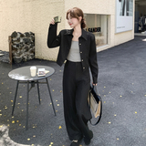 黑色韩范干练气质通勤工装套装裤女2025秋季新款外套阔腿裤两件套，女装套装/套裙，浙宝183
