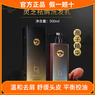 康柏仕灵芝精华去屑止痒洗发水清爽防脱柔顺改善毛躁头皮舒缓护理