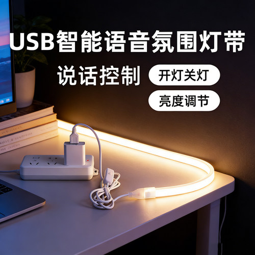 低压5V灯带语音开关霓虹灯带USB无光斑防水硅胶镜子画框造型灯条
