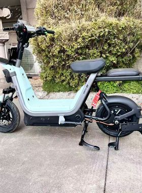 适用适配九号FZ160电动车大脚撑FZ1 60/110中撑支撑改装双撑支架