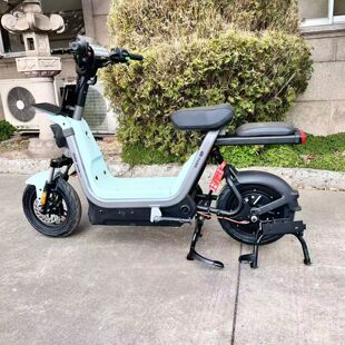 适用适配九号FZ160电动车大脚撑FZ1 60/110中撑支撑改装双撑支架