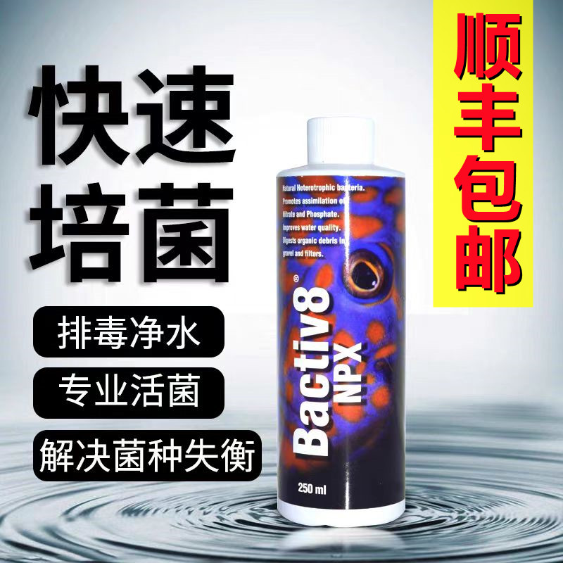 美国两只小鱼海水硝化细菌珊瑚缸专用菌种活性硝化细菌消化菌包邮