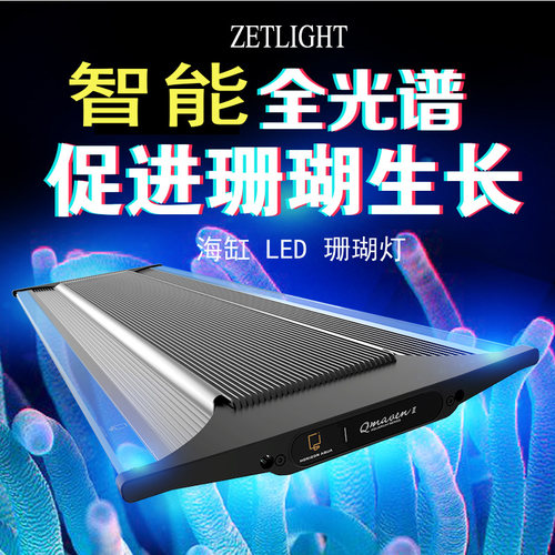 珊瑚灯珊瑚灯积光海水灯日出日落