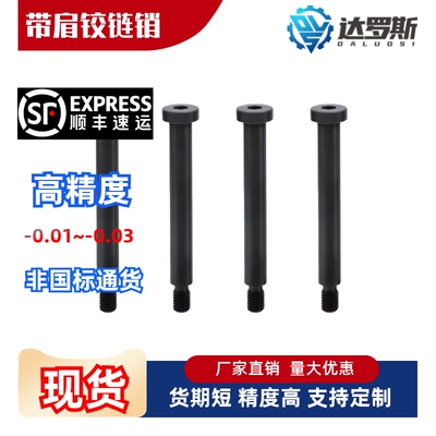 带肩铰链销SCLBRUH568