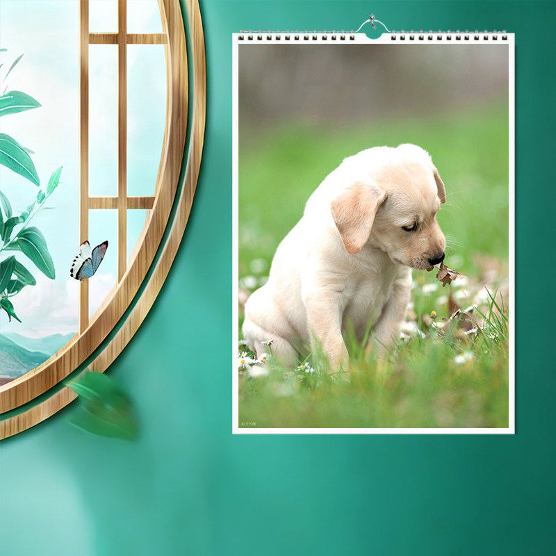 2026年萌犬可掬小清新插画挂历大号简约优质家用日历月历新品高级,文具电教/文化用品/商务用品,台历,淘宝优惠券,粉丝福利购,淘宝优惠卷