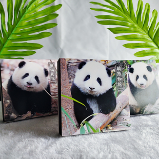 熊猫花花文创冰箱贴可爱个性创意玻璃磁贴四川成都基地特产纪念品