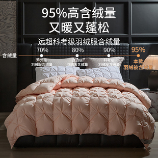 羽绒被95白鹅绒冬被春秋四季被10斤加厚保暖单双人被芯被子羽绒被