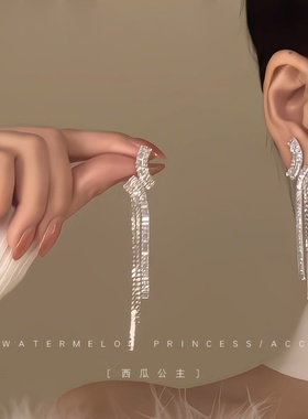 「晚宴名流」超闪锆石耳环女高级感轻奢流苏礼服宴会独特漂亮耳饰