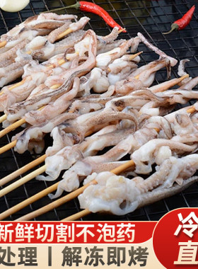 速冻新鲜鱿鱼须章鱼串烧烤食材
