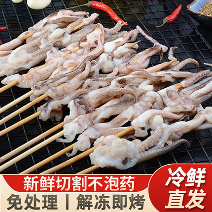 速冻新鲜鱿鱼须串章鱼串八爪鱼串铁板鱿鱼烧章鱼足烤海鲜食材批发