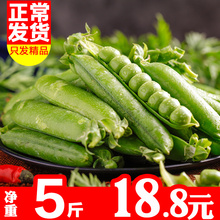 豌豆荚5斤净重云南带壳毛豆四季豆青豆蚕荷兰甜豆角新鲜农家蔬菜