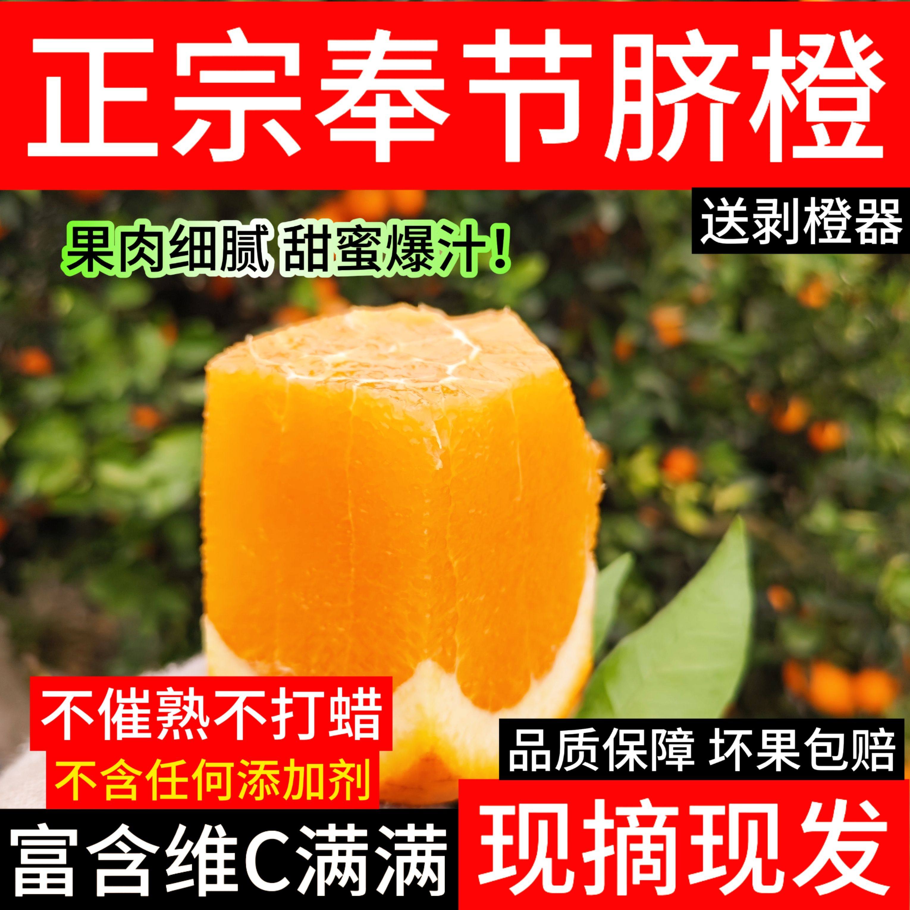 重庆奉节脐橙子当季新鲜水果孕妇薄皮5斤整箱果园直发无籽大果,水产肉类/新鲜蔬果/熟食,橙,淘宝优惠券,粉丝福利购,淘宝优惠卷