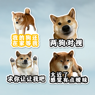 柴犬吨吨个性创意搞笑卡通表情汽车贴纸两狗对视别靠太近保持车距