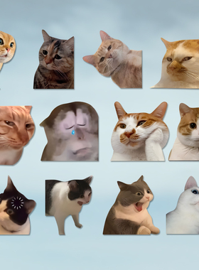 可爱搞笑迷因MEME猫猫咪惊讶表情个性创意车贴笔记本行李箱贴纸