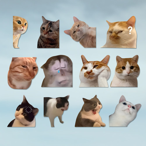 可爱搞笑迷因MEME猫猫咪惊讶表情个性创意车贴笔记本行李箱贴纸
