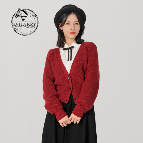D-HARRY/迪哈利DH231C95853D