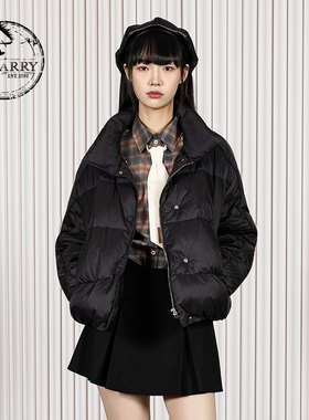 D-HARRY/迪哈利2025冬季新款通勤百搭保暖黑色羽绒服DH254G61995T