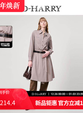 D-HARRY/迪哈利2025春秋新款复古灰色风衣式连衣裙DH251J90063D