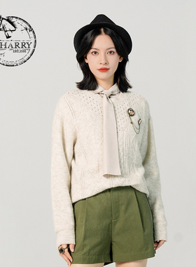 D-HARRY/迪哈利新款简约百搭套头针织衫毛衣DH231C95918D