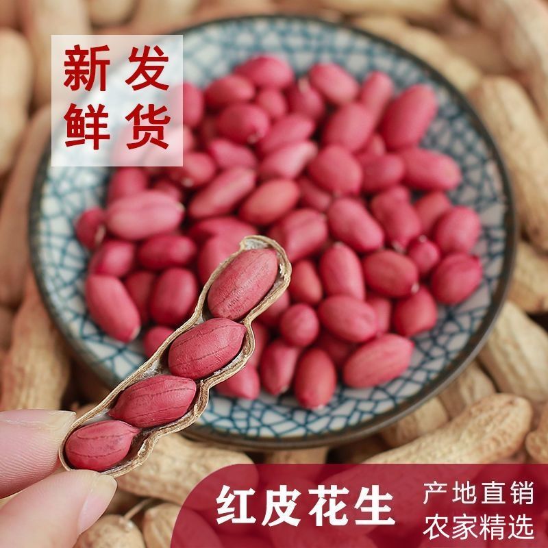 1斤红皮花生米批发农家自产红衣花生