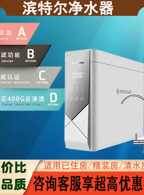 成都滨特尔V-4000a反渗透纯水机双出水TDS监测自动换滤芯RO净水器