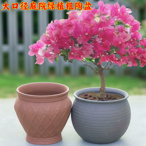 超大花盆绣球花种树专用