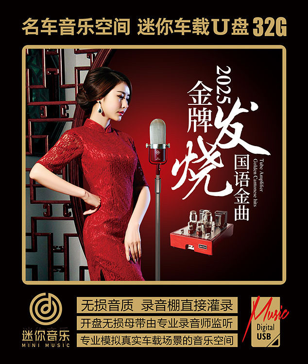 2025发烧国语金曲雷婷赵鹏洋澜一陈佳谭艳车载音乐u盘WAV无损音质
