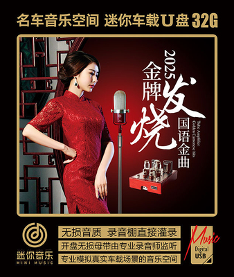 2025发烧国语金曲雷婷赵鹏洋澜一陈佳谭艳车载音乐u盘WAV无损音质