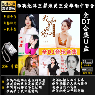 无损音质李英赵洋王馨米灵王爱华雨中百合伤感情歌DJ歌曲车载U盘