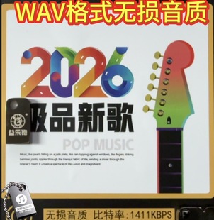 2026流行新歌任夏大头针安儿陈洋澜一周深郭有才车载音乐U优盘wav