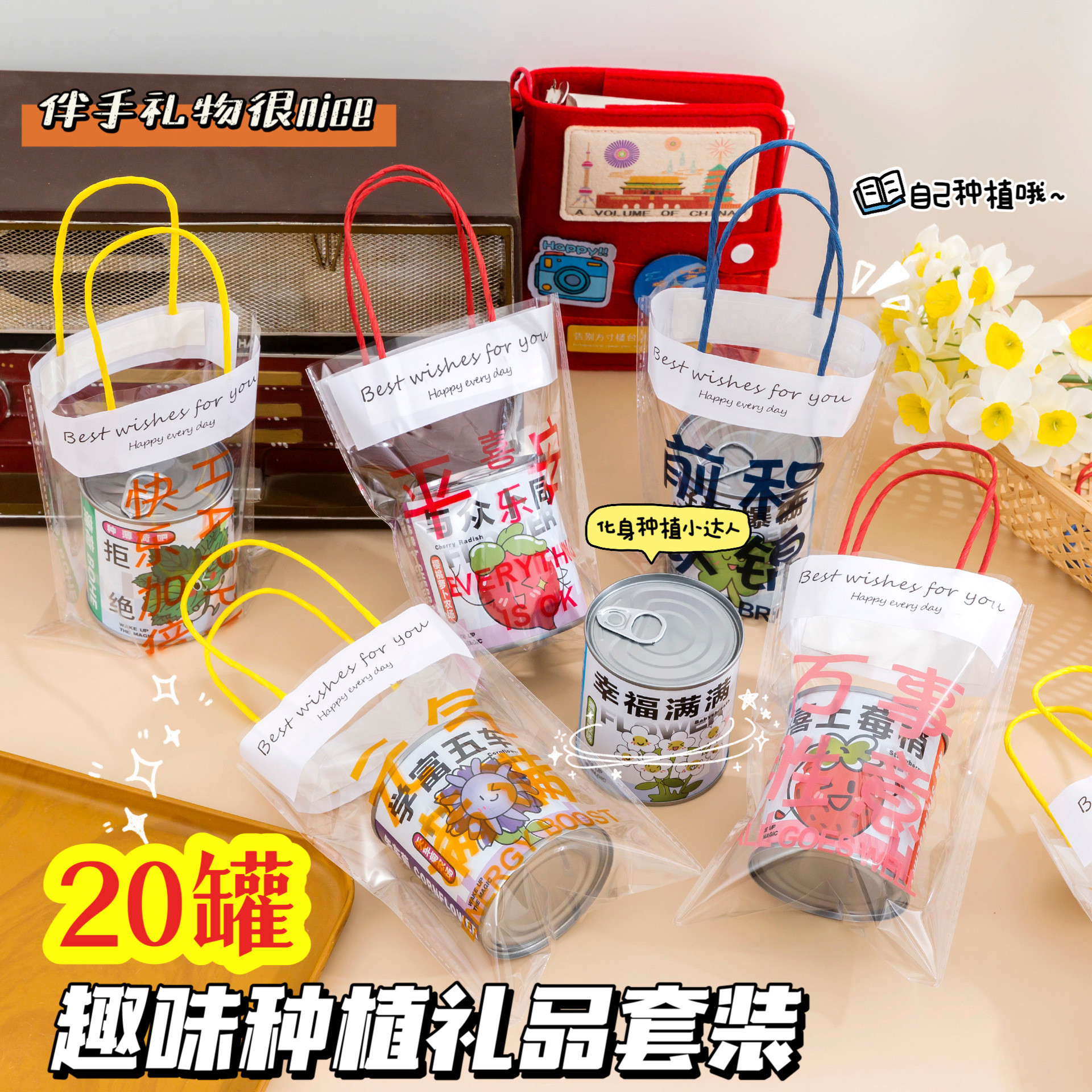 学生奖励小礼品实用DIY种植物盲盒伴手礼儿童活动奖品幼儿园礼物