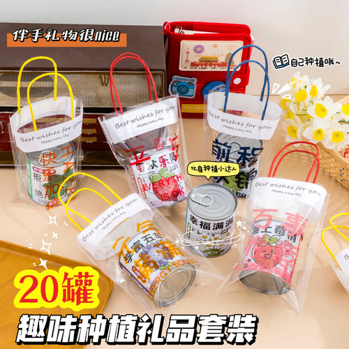 学生奖励小礼品DIY种植物盲盒
