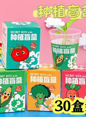 实用儿童DIY种植盲盒开业活动赠品店庆礼物三年级学生奖励小礼品