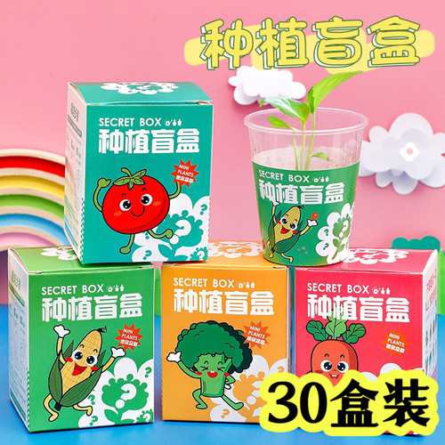 实用儿童DIY种植盲盒小礼品
