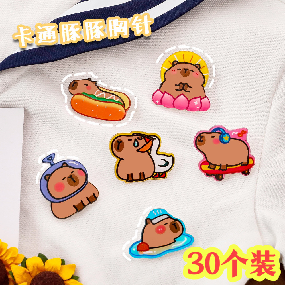 奖励小学生礼品卡皮巴拉胸针